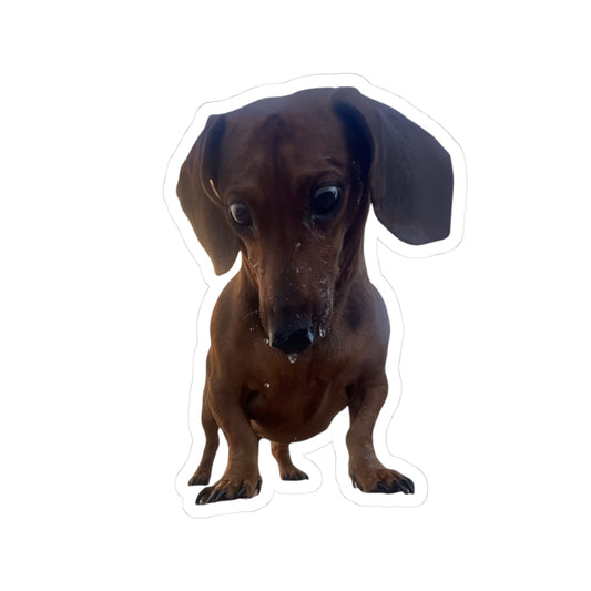 Adorable Dog Kiss-Cut Stickers | Perfect for Pet Lovers, Gifts, Journals, Laptops, Scrapbooking