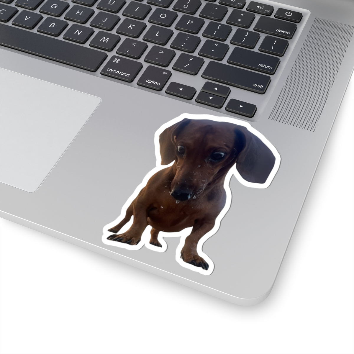 Adorable Dog Kiss-Cut Stickers | Perfect for Pet Lovers, Gifts, Journals, Laptops, Scrapbooking